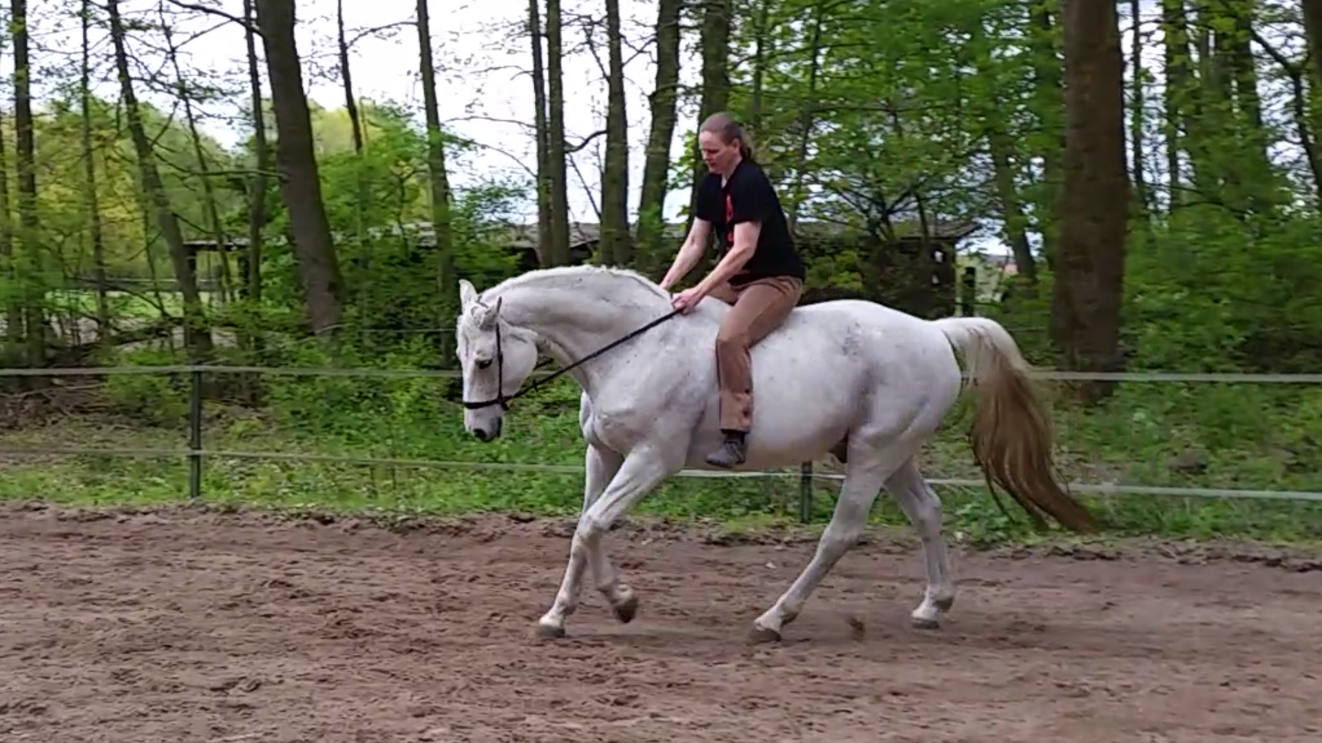 Qi Gong auf dem Pferd